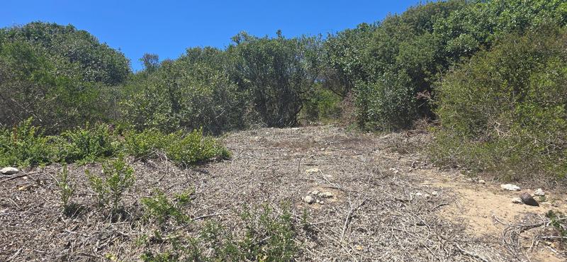 0 Bedroom Property for Sale in Groot Brakrivier Central Western Cape